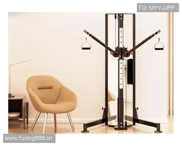 简单有效健身器材推荐打造基础家庭健身房